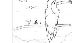 5 Subscriber special; Toucan