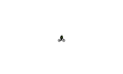 my first brush