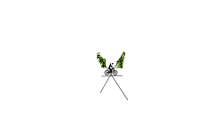 X-Trap