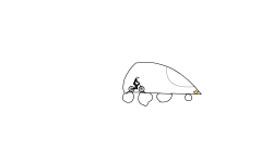 Car Track