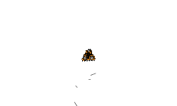 Helicopter auto