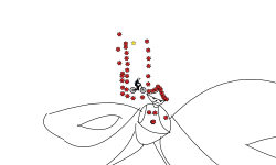 human animation 2