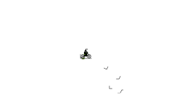 Dropper auto i