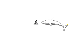 Dolphin!!!
