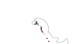 1 minute auto