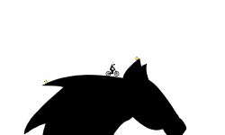 Black Stallion