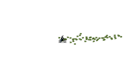 Small gun