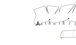 Cave track
