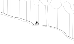 Prneview Forest