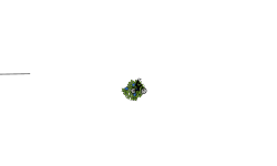 worm hole