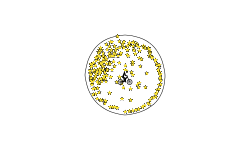 Circle Trial