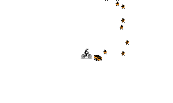 helicopter
