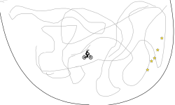 The Soup Bowl