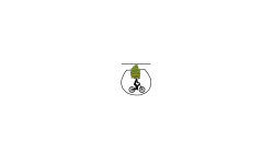 Teleporter