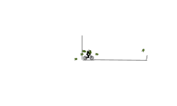 THE AUTO LEVEL