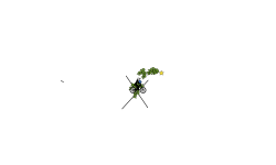 PICCOLO DBZ