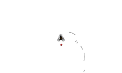 Helicopter holdup