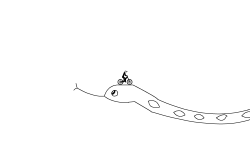 snakey