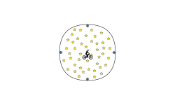 Gravity puzzle 2