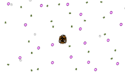 Yaydoles portal/star!