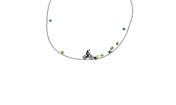 Circle Of Life