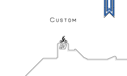 Custom