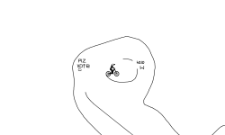 Hold (W)