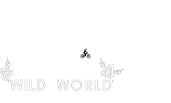 WILD WORLD COMMUNICATIONS