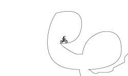 Cave Loops 2 Preview