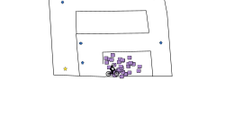 mini map
