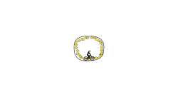 the bad  circle