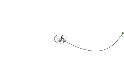 Impossible Track for Birds