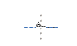 the_rider