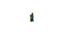 Auto?
