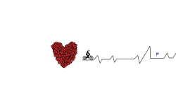Cardiography 6