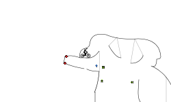 First Detailed Level