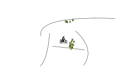 hihi
