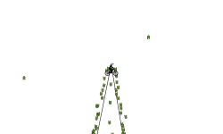 Glitch auto