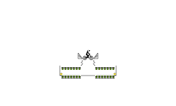 Crocodile Dude