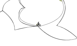 curve brothers