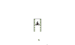 Balloon Auto! (Short)