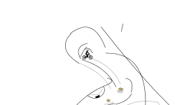 The hey man guy thing person