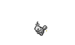 Squirtle (read description)