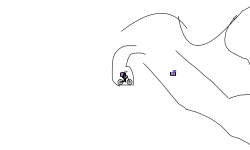 medium