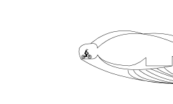 STI TRACK 3