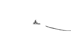 Another brush.