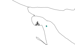 GravityTrack2