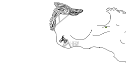 Old Collab NTBF