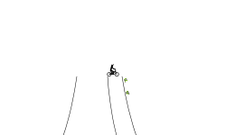 Flip around Z