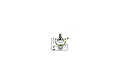 halli glitch